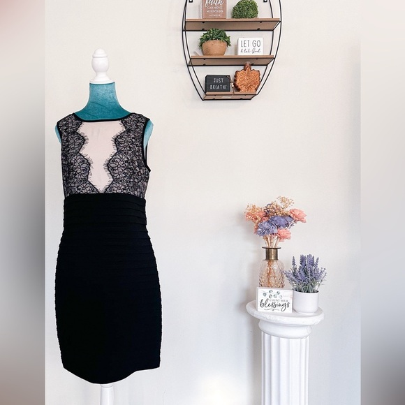 Charming Lace Panel Dress by Established 1962: Classic Black & Tan Design, Sz 8 - Picture 1 of 16